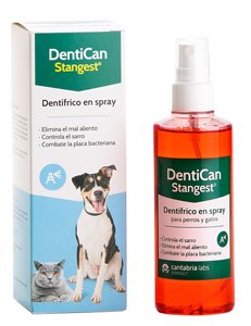 DENTICAN SPRAY DENTAL 